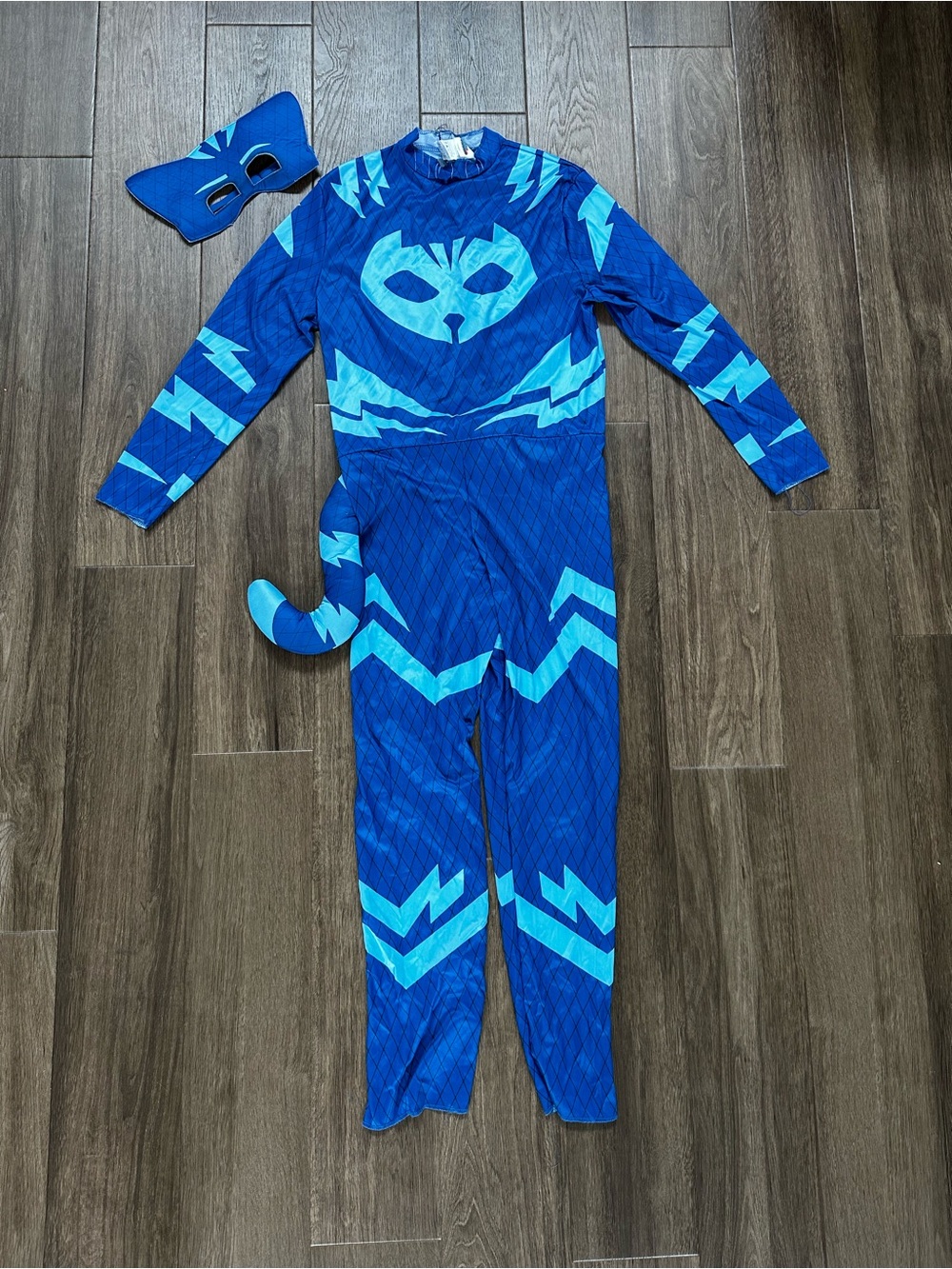 Men’s PJ Masks Catboy Costume - Complete
